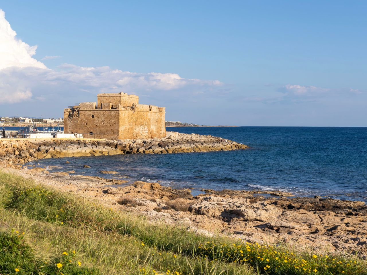 Annabelle Paphos